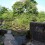 River Derwent, stepping stones and bridge