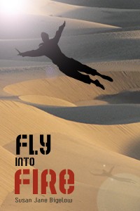 Cover image for Fly Into Fire