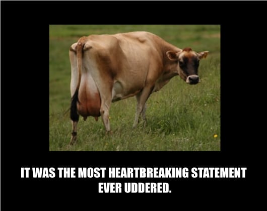 Read more about the article LoLCritique: Udder Insanity