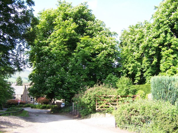 Bamford Mill and surroundings