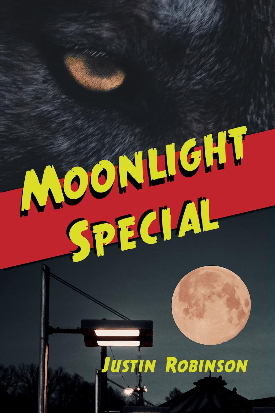 Read more about the article Release Day: Moonlight Special by Justin Robinson